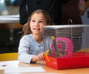 Pan Mama. Maja (Olga Wypych)