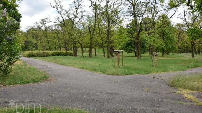 Park Tysiąclecia zostaje zamknięty na kilka tygodni. Przejdzie metamorfozę