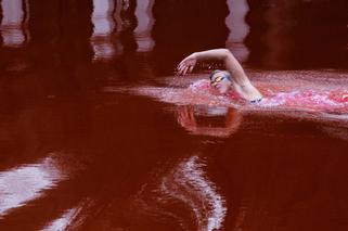 Woda w stawie jak krew, a w nim olimpijska pływaczka. Co się wydarzyło przed rosyjską ambasadą?