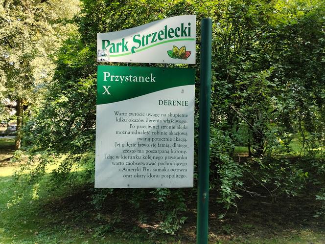 Pomniki przyrody w Parku Strzeleckim w Tarnowie