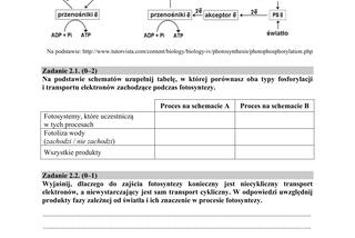 ARKUSZE CKE - Matura biologia 2019