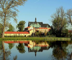 W tych miejscowościach woj. łódzkiego mieszkańcy są najlepiej wykształceni. Sprawdź, czy jest tutaj twoje miasto