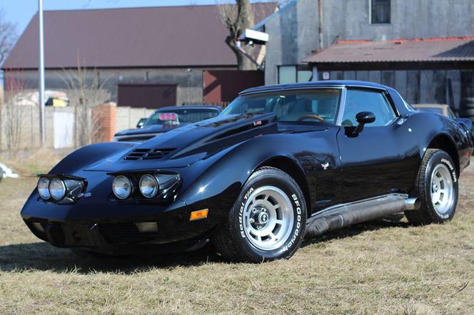 Chevrolet Corvette C3 Kamila Bednarka