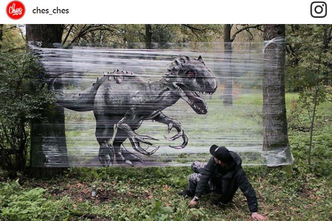 Graffiti w lesie - te dzieła zwalą Cię z nóg!