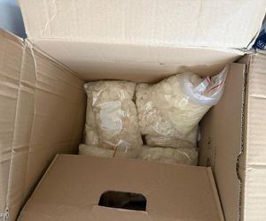 Chełmno: Potężne uderzenie w narkobiznes! Policja przejęła towar za 2 miliony, co znaleziono w kryjówce dilerów?