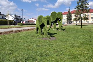 Spacer po Janowie Lubelskim 2025