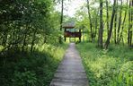 Białowieski Park Narodowy 