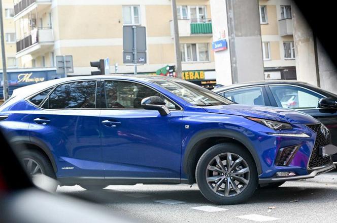 Danuta Stenka została paparazzo