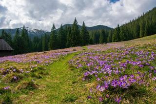 Tatry: 5 szlaków dla początkujących 