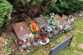 Cmentarz dla zwierząt przy Malowniczej