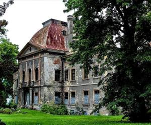 Zapomniany pałac w Mańczycach. Rezydencja z niezwykłym klimatem wciąż stoi pusta 
