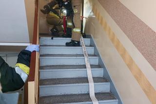 Pożar w wieżowcu na terenie Torunia. 7 zastępów straży w akcji