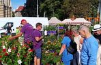 50. edycja kiermaszu Pamiętajcie o ogrodach