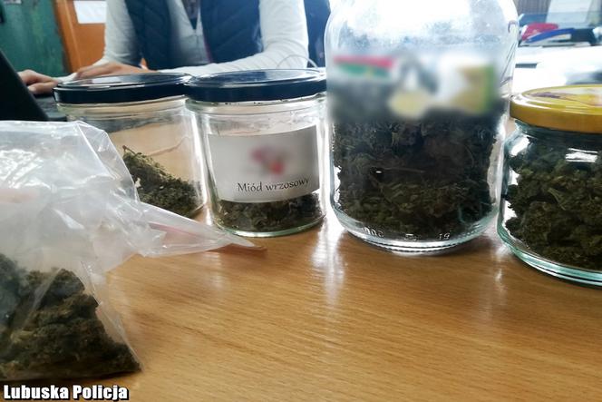 Marihuana jako mód wrzosowy.