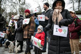 Protest na Barbarce w Toruniu. Społecznicy nie chcą wycinki starych sosen