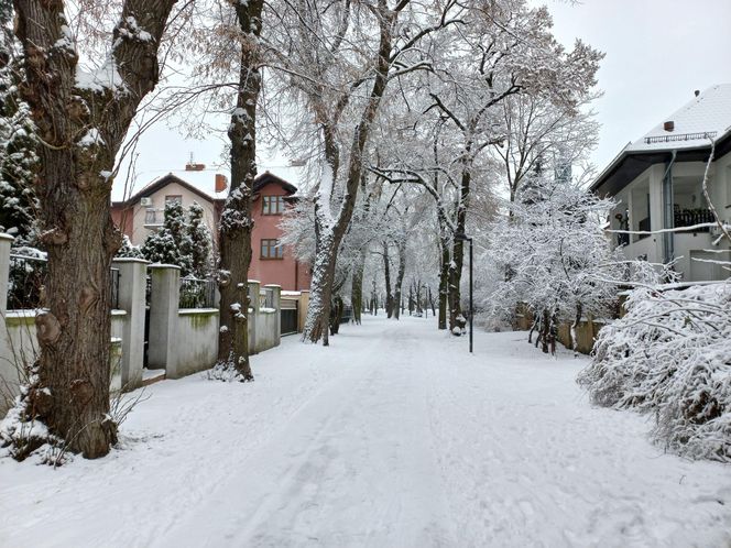 Leszno wygląda bajkowo! Na walentynki sypnęło śniegiem