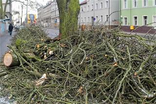 Wycinka drzew na al. Powstańców Wielkopolskich