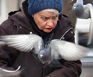 Anna Chodakowska. Gwiazda Labiryntu wśród ptaków