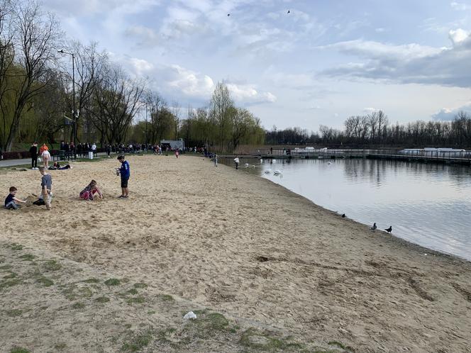 Stawiki w Sosnowcu budzą się do życia na wiosnę