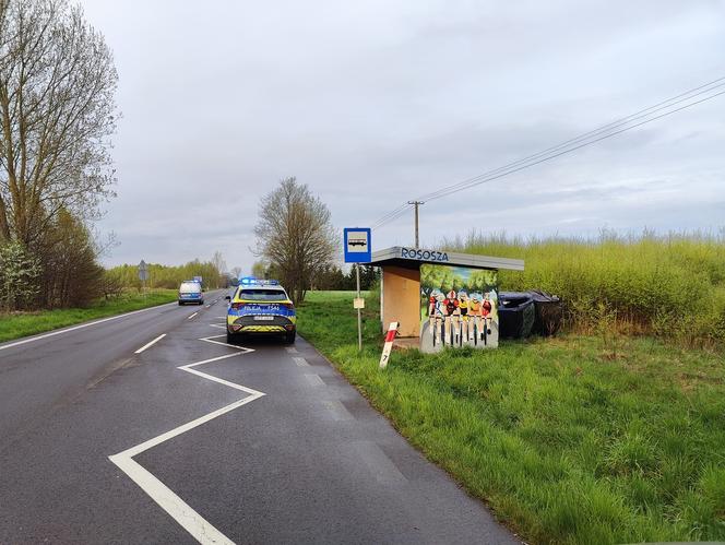 Kierowca mercedesa zderzył się z sarną i dachował