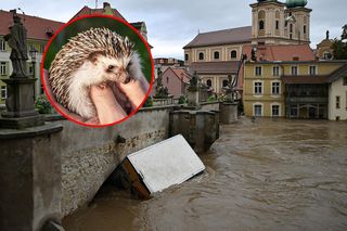 Żegnał się z ukochanym ośrodkiem po prawie 20 latach. Powódź nie zatrzymała ludzkich serc z drugiego końca kraju