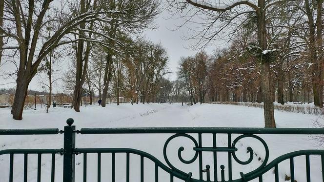 Zamojski Park pod śniegiem