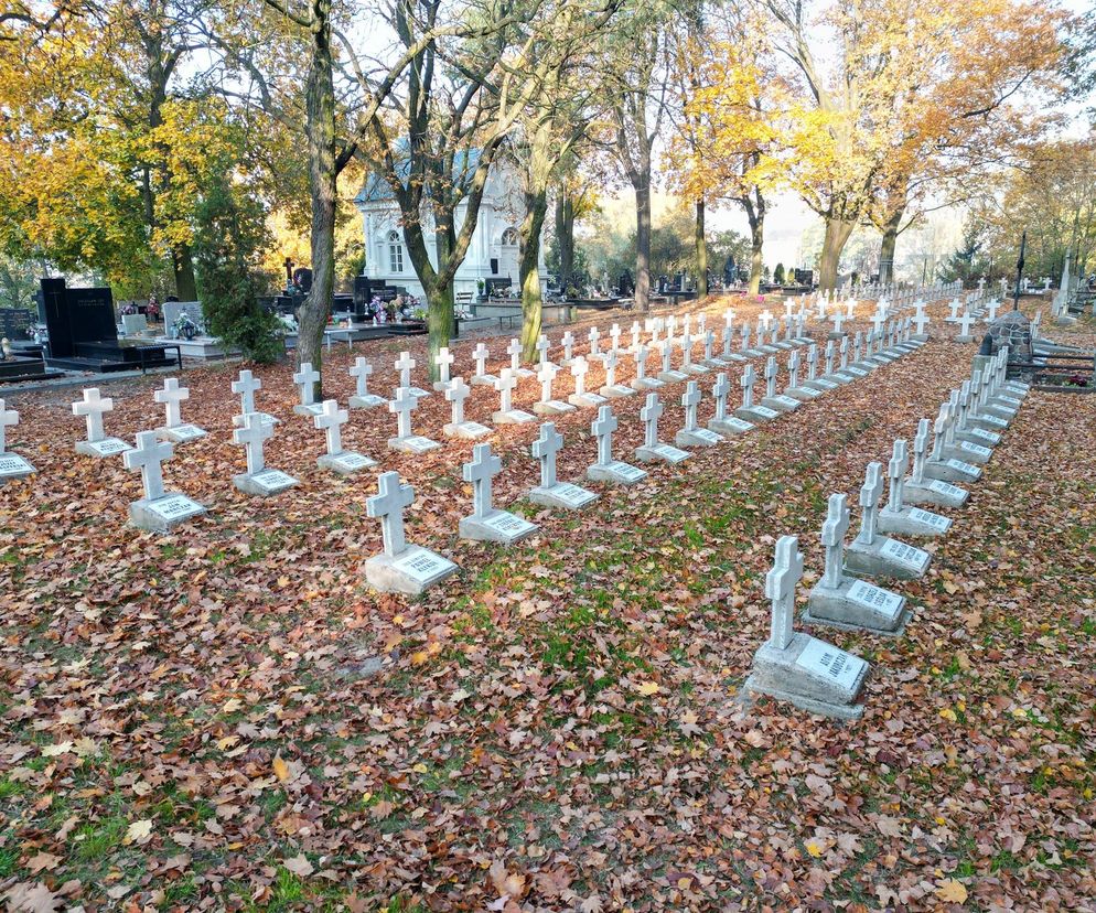 Kalisz. Wolontariusze odnowili ponad 270 żołnierskich mogił