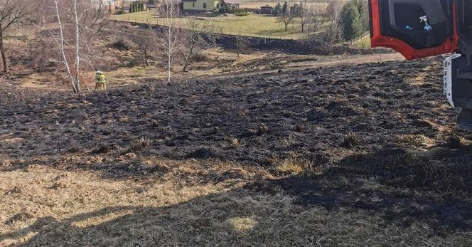 Pierwsza ofiara śmiertelna wypalania traw w Małopolsce. Nie żyje 78-letni mężczyzna