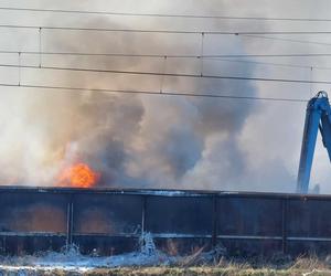 Pali się składowisko odpadów w Przysiece Polskiej