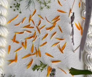 Wesele Katarzyny Bosackiej