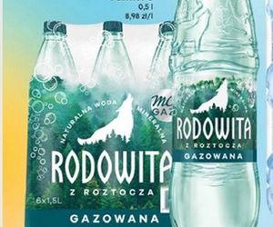 Nowe promocje w Dino