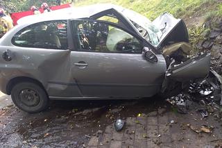 Seat pędził alejką i roztrzaskał się na kamieniu. Kierowca zginął na miejscu