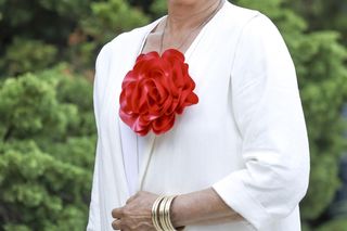 Małgorzata Ostrowska-Królikowska spotkała konia w supermarkecie. Wszystko nagrała!