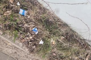 Tak źle jeszcze nie było? Olsztyn cały zaśmiecony. „Jest to problem dla właścicieli zwierząt i turystów”