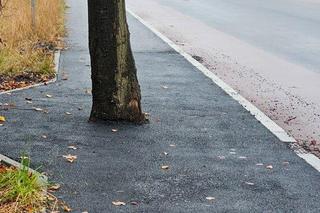 W Łodzi zabetonowano auto, w Jaworznie... drzewo na środku chodnika. Budowlańcy zaskakują fantazją