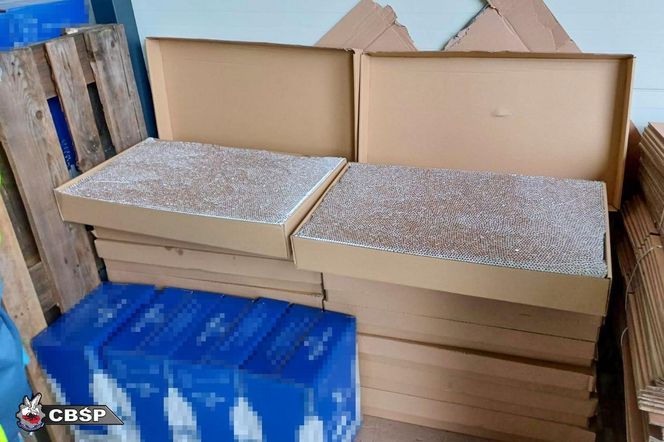 CBSP rozbiło gang producentów papierosów.