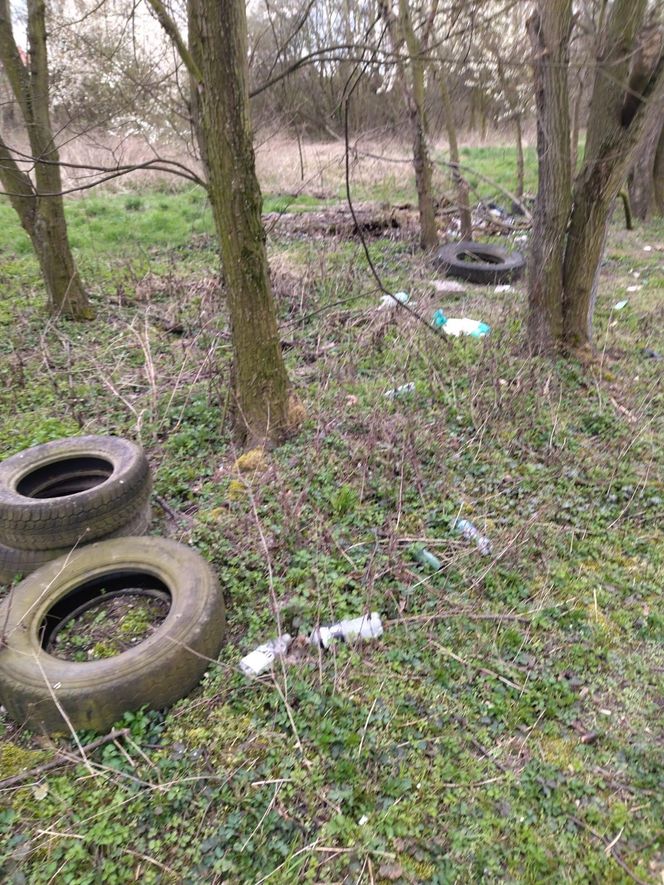 Śmietnisko opon na osiedlu w Gostyniu postrzątane 
