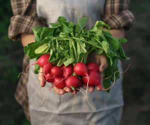Nie wyrzucaj, wykorzystaj do pysznego i zdrowego sosu. Liście rzodkiewki to skarbnica zdrowia 