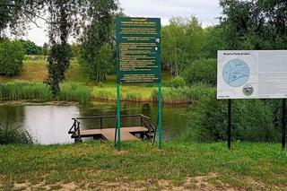 kontrola
