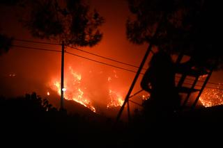 Pożary w Grecji to podpalenia?! Słowa strażaków zdradzają prawdę