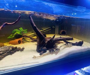 Rozmawiamy z Tomaszem Wiśniewskim, założycielem Aqua Dreams Bydgoszcz