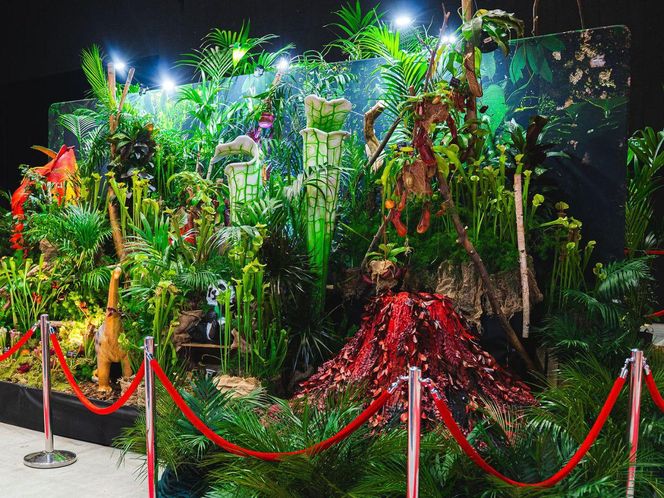 Ponad 100 000 roślin i pięć niezwykłych światów – rusza World Flower Show w Polsce!