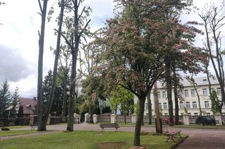 Sanktuarium Maryjne - Salezjanie Różanystok