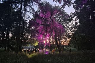 Olsztyn zamienił się w magiczną krainę. Park Świateł przyciągnął tłumy!