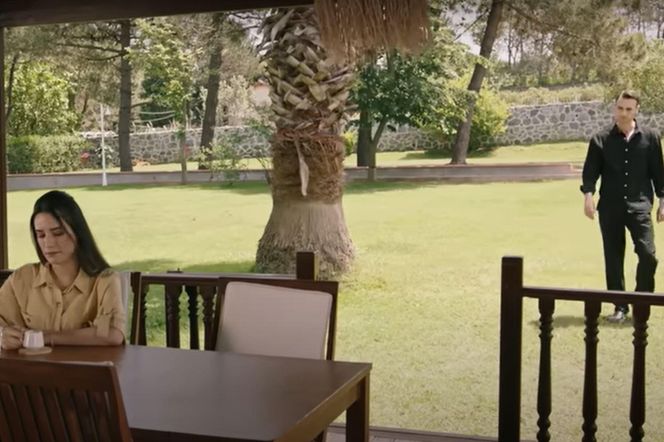 Alper szybko zaczyna działać, żeby poznać prawdę, której boi się Halil 