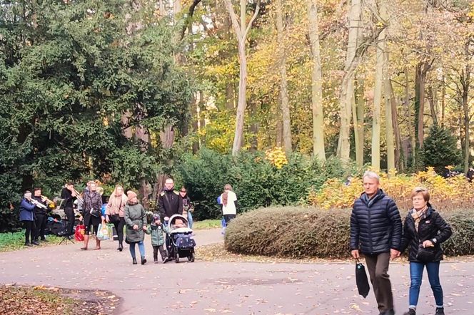 1 listopada na Cmentarzu Centralnym w Szczecinie