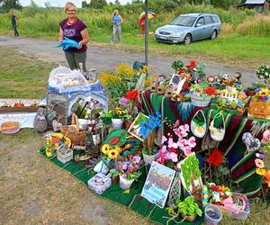 Lawendowe Oczko pod Siedlcami odwiedziły tłumy mieszkańców Mazowsza