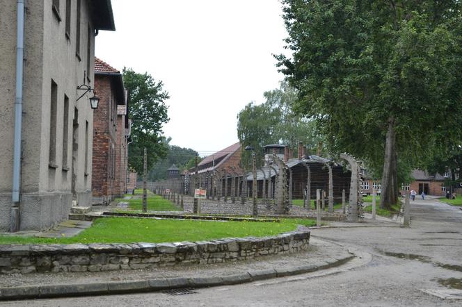 7. Muzeum Auschwitz