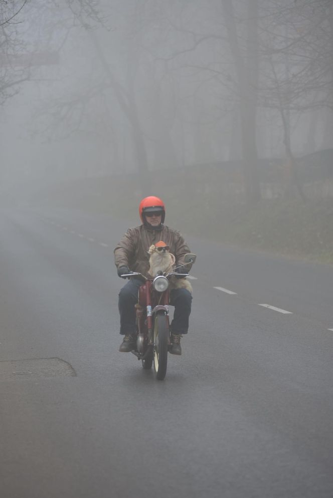 Nika motocyklistka z Sandomierza