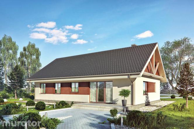 Projekty domów dla dużej rodziny